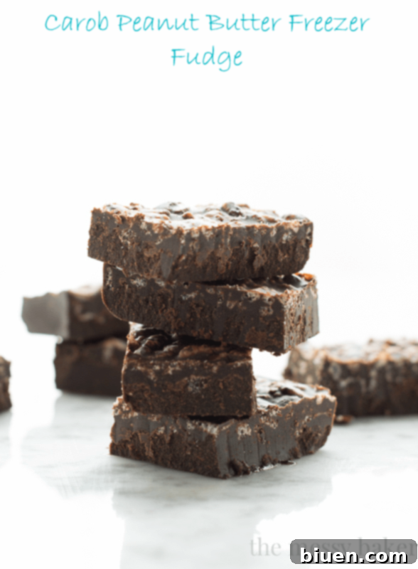 Carob Peanut Butter Freezer Fudge {Gluten-Free + Vegan} | www.themessybakerblog.com