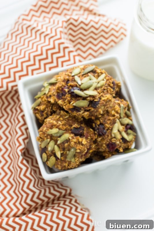 Delicious Gluten-Free Vegan Pumpkin Banana Breakfast Cookies