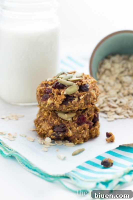 Homemade Pumpkin Banana Breakfast Cookies Recipe