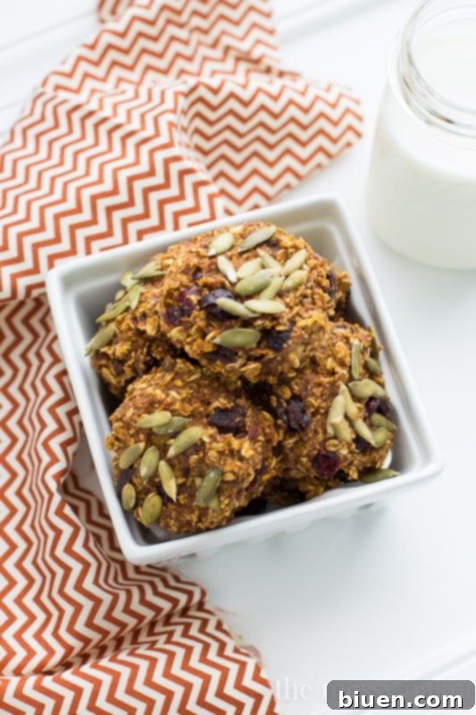 Healthy Gluten-Free Vegan Breakfast Cookies