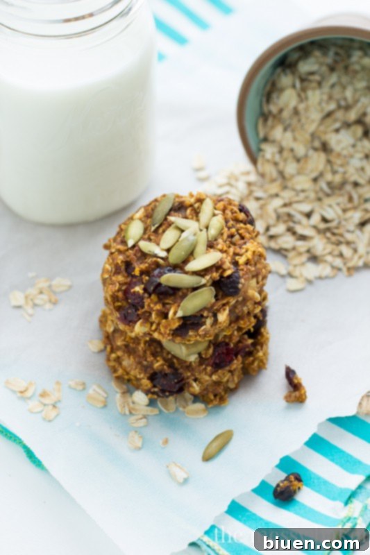 Easy Pumpkin Banana Oat Cookies