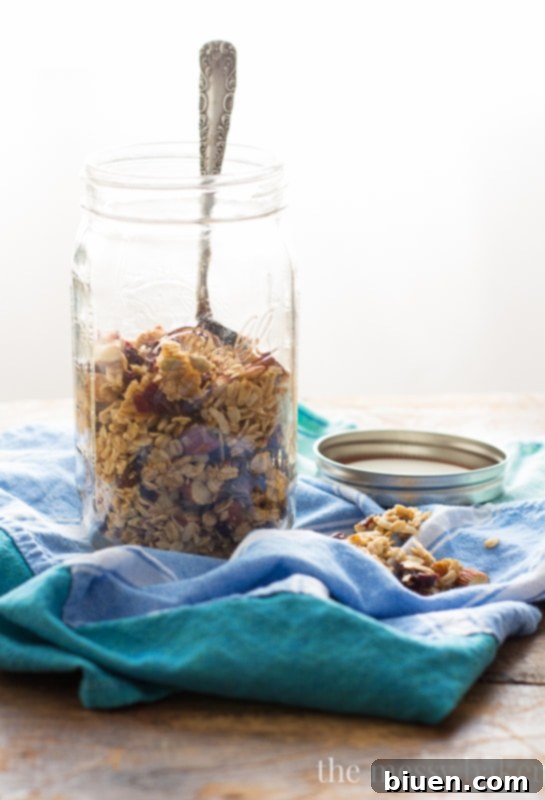 Zesty Cranberry Orange Crunch 5 Homemade Granola Ingredients Mix