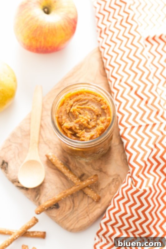 White Chocolate Pumpkin Almond Butter on a small wooden spoon, served alongside honey wheat pretzel sticks and apple slices for dipping.