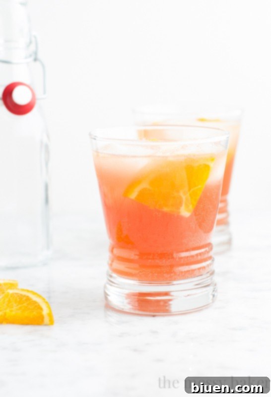 Cranberry Orange Spritzer Cocktail for Autumn Gatherings