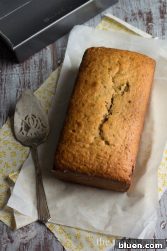 Nutella & Toasted Pecan Swirl Banana Bread | www.themessybakerblog.com