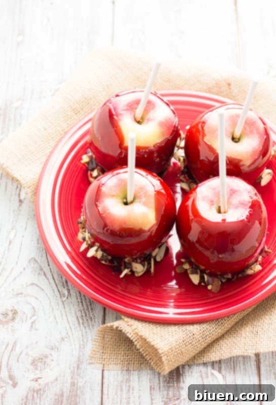 Red Moscato Candied Apples Dipped in Toasted Almonds and Semi-Sweet Chocolate | www.themessybakerblog.com