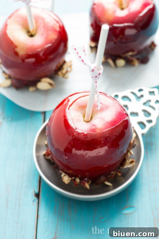 Red Moscato Candied Apples Dipped in Toasted Almonds and Semi-Sweet Chocolate | www.themessybakerblog.com