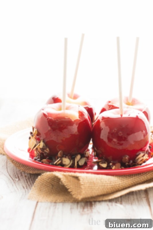 Red Moscato Candied Apples Dipped in Toasted Almonds and Semi-Sweet Chocolate | www.themessybakerblog.com