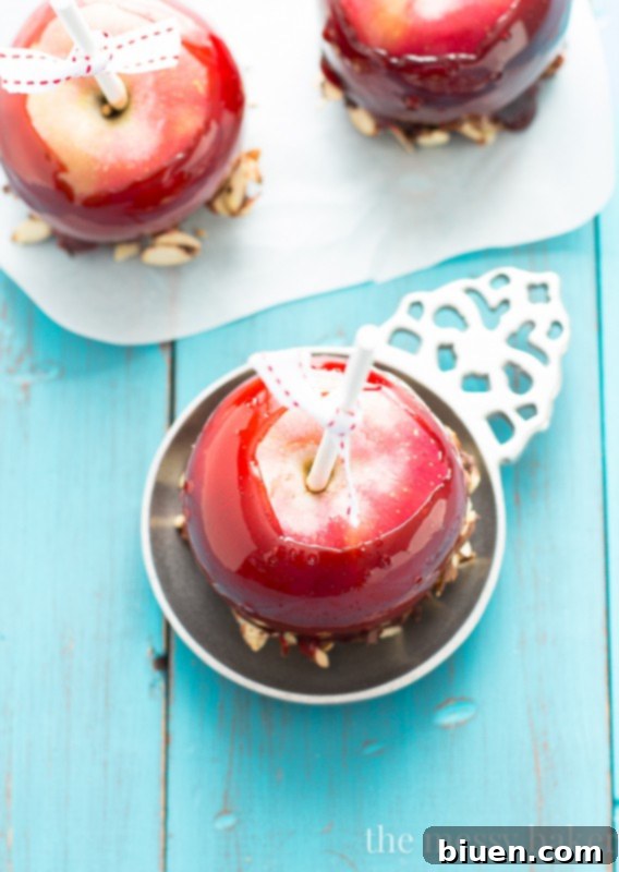Red Moscato Candied Apples Dipped in Toasted Almonds and Semi-Sweet Chocolate | www.themessybakerblog.com