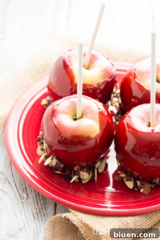 Red Moscato Candied Apples Dipped in Toasted Almonds and Semi-Sweet Chocolate | www.themessybakerblog.com