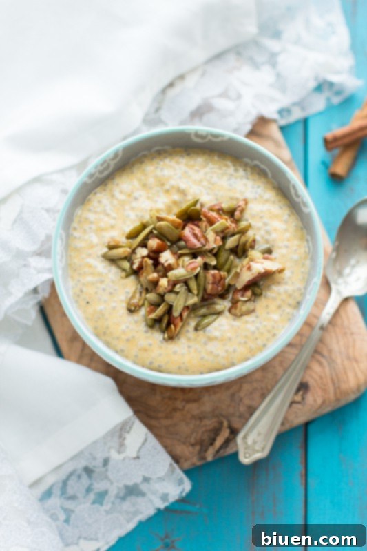 Delicious and healthy Pumpkin Chia Seed Pudding with Maple Pecans & Pumpkin Seeds, perfect for a fall breakfast or snack. | www.themessybakerblog.com