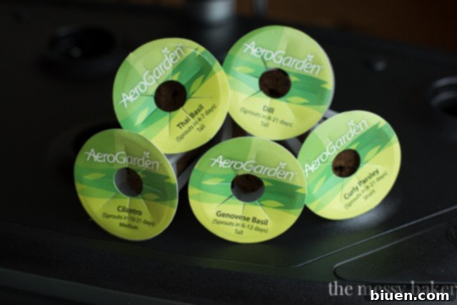 AeroGarden Review | www.themessybakerblog.com