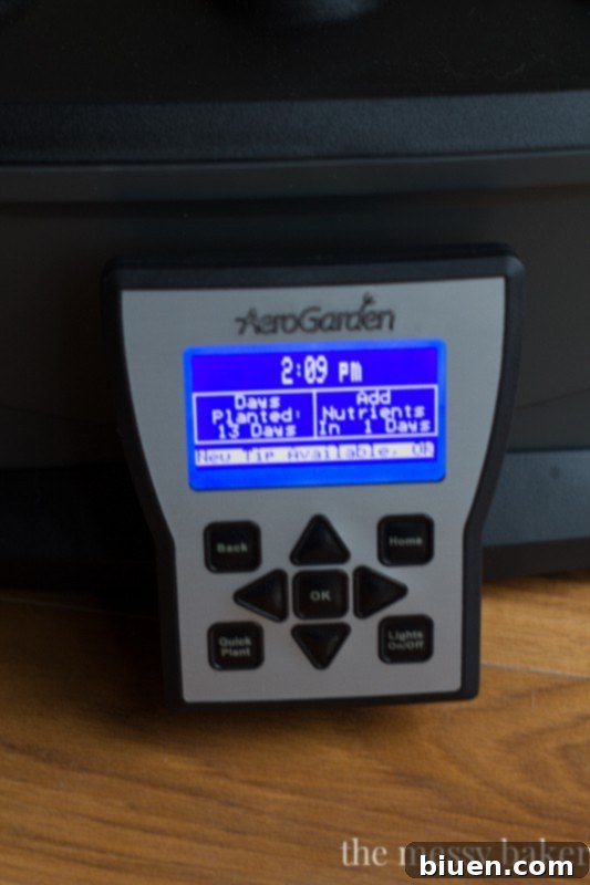 AeroGarden Review | www.themessybakerblog.com