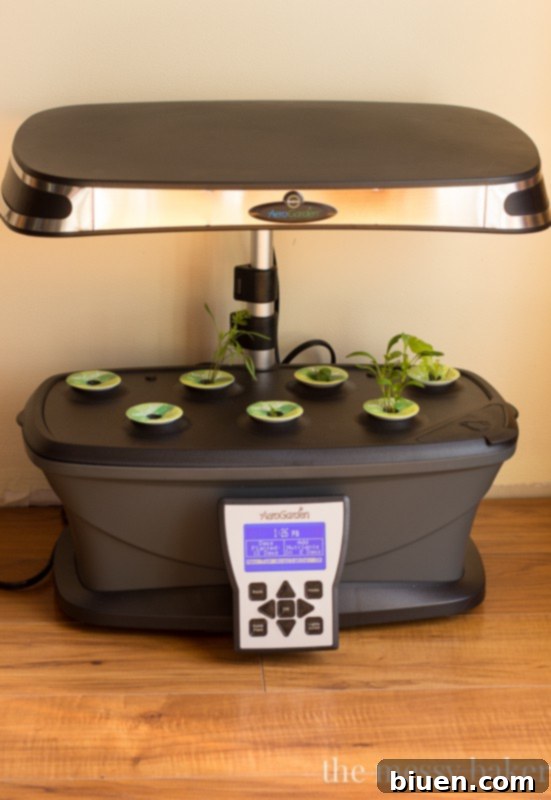 AeroGarden Review | www.themessybakerblog.com