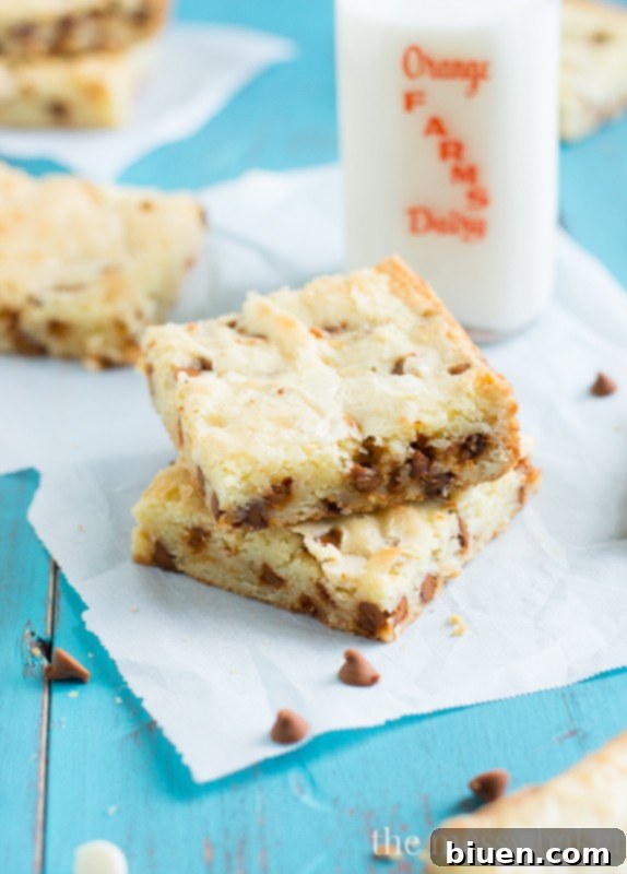 White Chocolate Cinnamon Chip Brownies | www.themessybakerblog.com