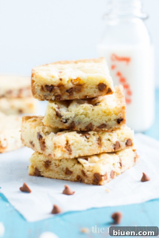 White Chocolate Cinnamon Chip Brownies | www.themessybakerblog.com