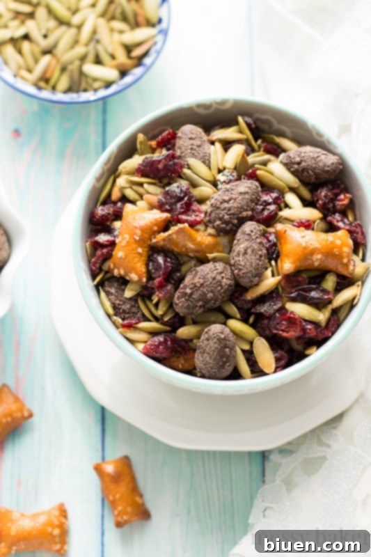 Easy Fall Trail Mix recipe made with pumpkin seeds, dried cranberries, peanut butter filled pretzels, and dark chocolate covered almonds | www.themessybakerblog.com