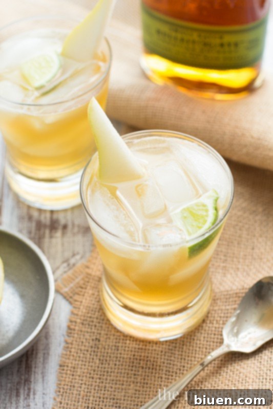 Prickly Pear Cocktail recipe made with bourbon. This fall inspired cocktail is refreshing and crisp. | www.themessybakerblog.com