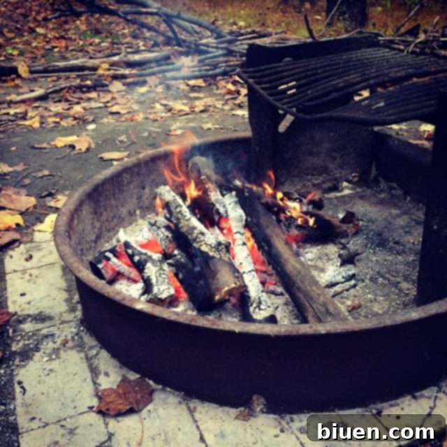 Camp Fire | Cozy Outdoor Camping Experience