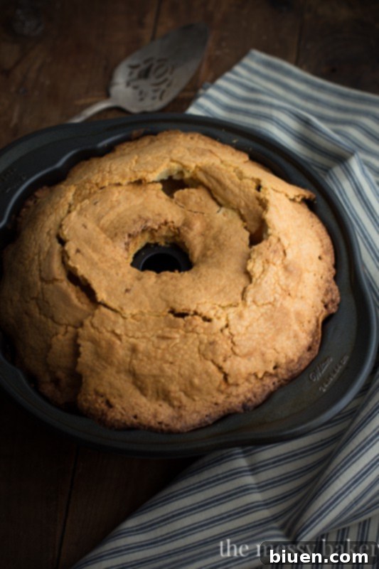 Gourmet Chocolate Hazelnut Swirl Cream Cheese Pound Cake 3 Sliced Chocolate Hazelnut Pound Cake on a Stand