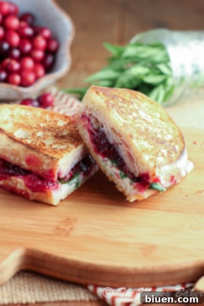 Delicious Turkey & Cranberry Panini with Tarragon Goat Cheese Aioli