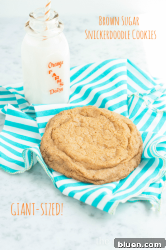 Brown Sugar Snickerdoodle Cookies (Giant-Sized) | Large, chewy Brown Sugar Snickerdoodle Cookies, dusted with cinnamon sugar.