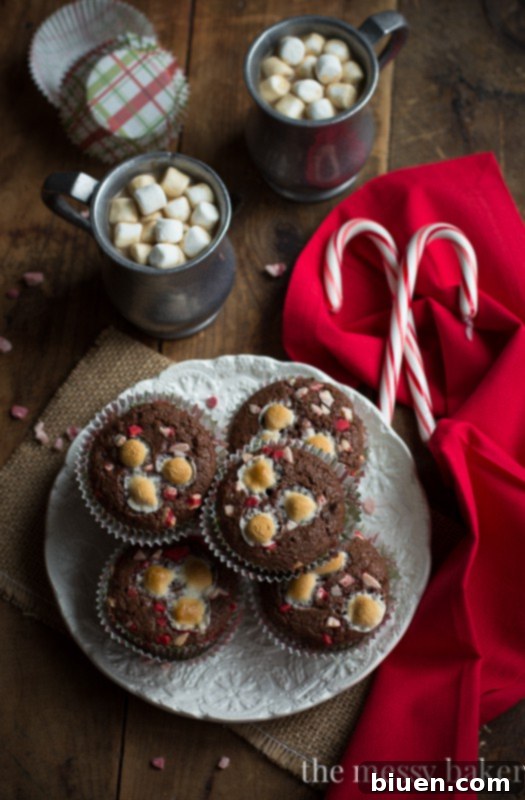 A tempting display of Hot Chocolate Peppermint Muffins, perfect for holiday gatherings or a cozy morning with coffee