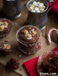 Hot Chocolate Peppermint Muffins with toasted marshmallows and peppermint chips on a plate