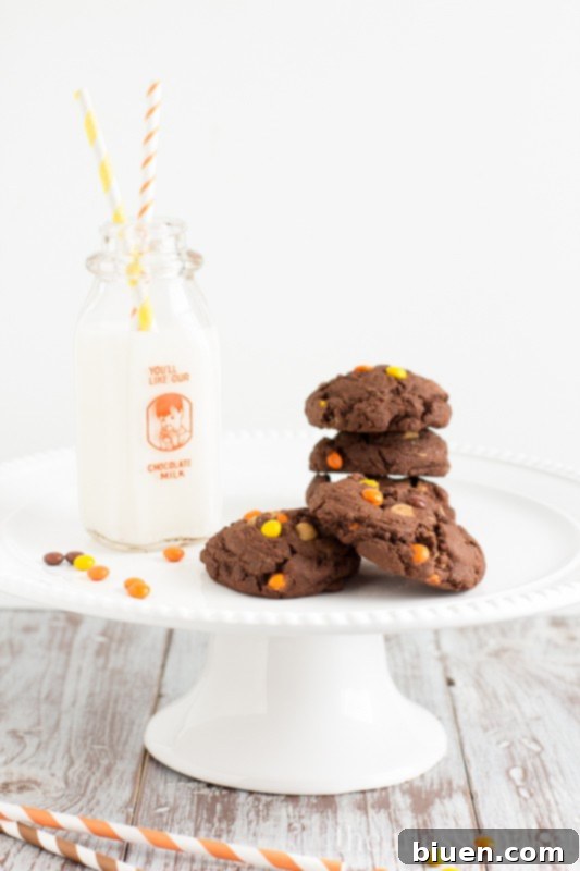Homemade Chocolate Reese's Pieces Pudding Cookies, perfect for holiday gatherings and dessert tables