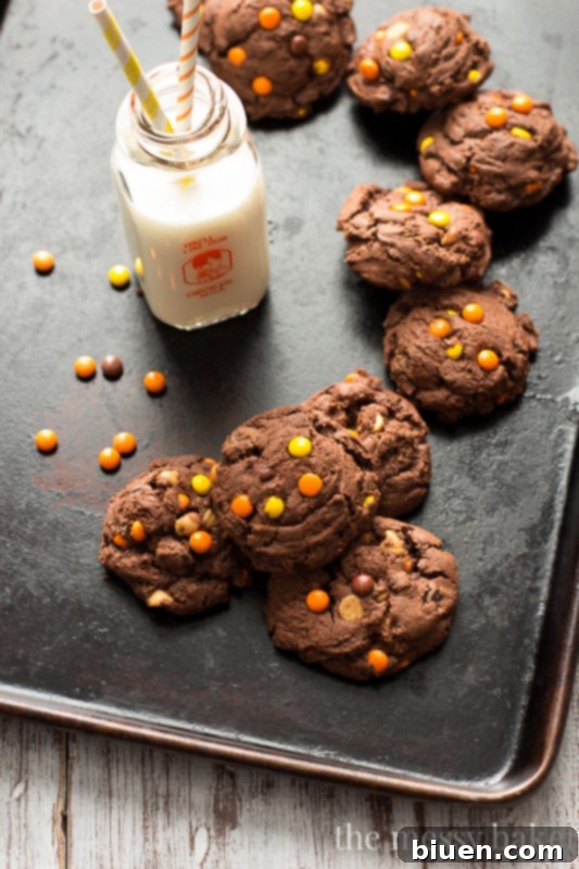 Close-up of soft and chewy chocolate cookies with Reese's Pieces and chocolate chips