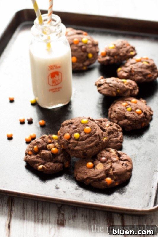 Assorted homemade cookies, including Chocolate Reese's Pieces Pudding Cookies, from a cookie swap