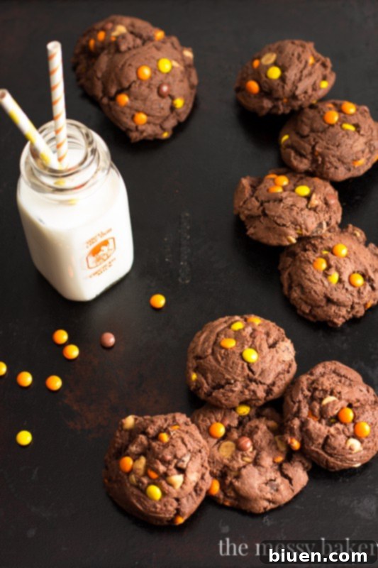 Soft chocolate cookies studded with colorful Reese's Pieces candies and peanut butter chips