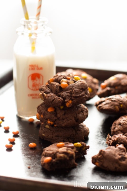 Delicious Chocolate Reese's Pieces Cookies cooling on a wire rack after baking