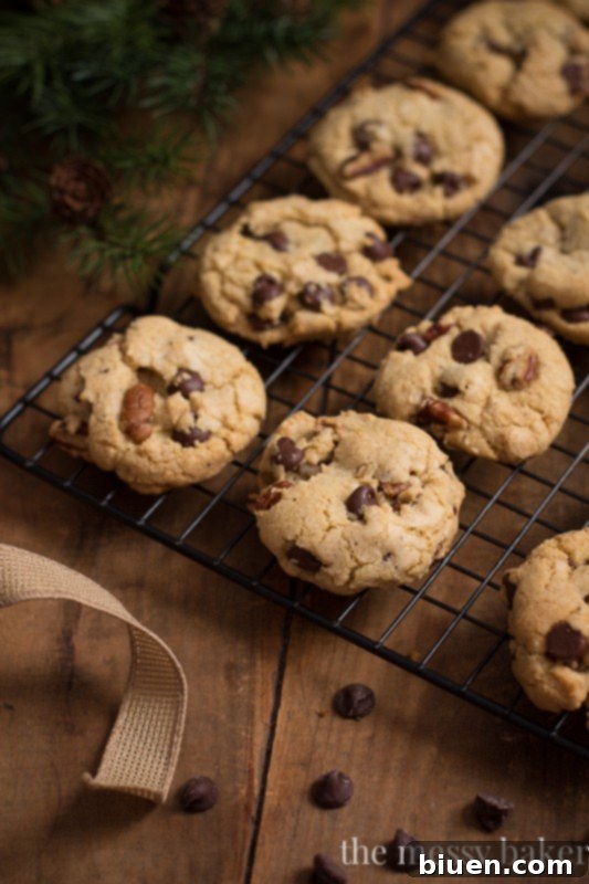 Delicious Brown Butter Pecan Chocolate Chip Cookies - Top View