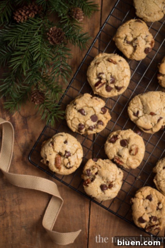 Single Brown Butter Pecan Chocolate Chip Cookie on White Background
