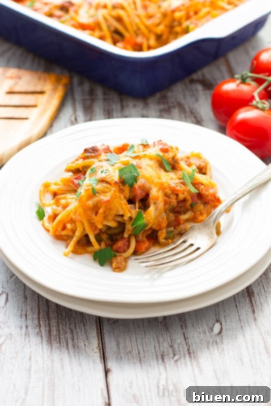 Zesty Southwestern Spaghetti Bake 3 Close up view of the Southwestern Spaghetti Pie Casserole