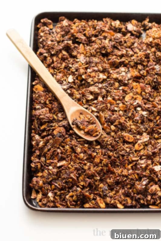 Nutella Almond Granola