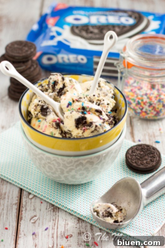 Funfetti Cake Batter Oreo Ice Cream from themessybakerblog.com - a delightful dessert