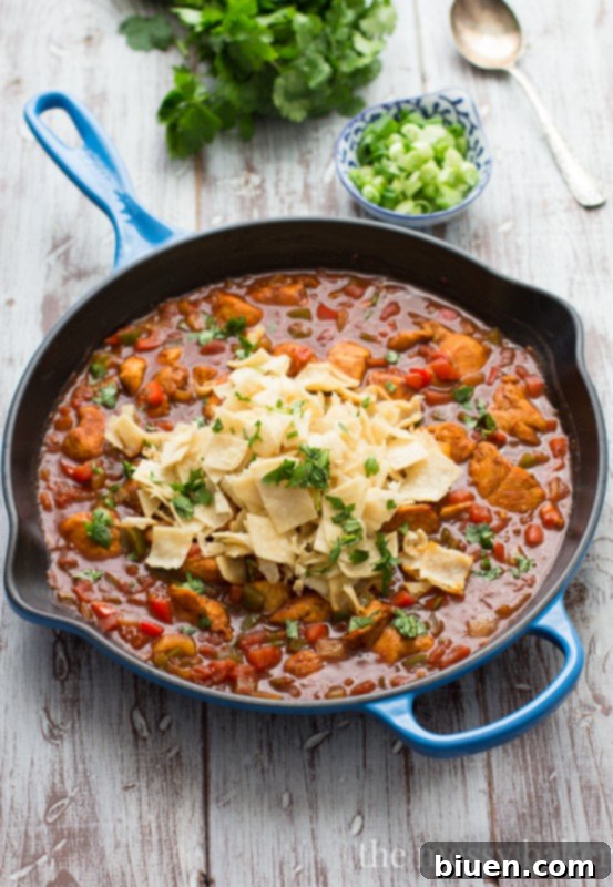 Chicken Enchilada Skillet, featuring tender chicken and colorful vegetables in a rich sauce, ready in one pan.