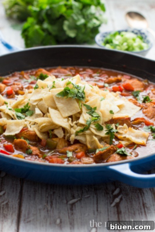 Close-up of the Chicken Enchilada Skillet, showcasing the vibrant ingredients and the rich texture of the sauce.