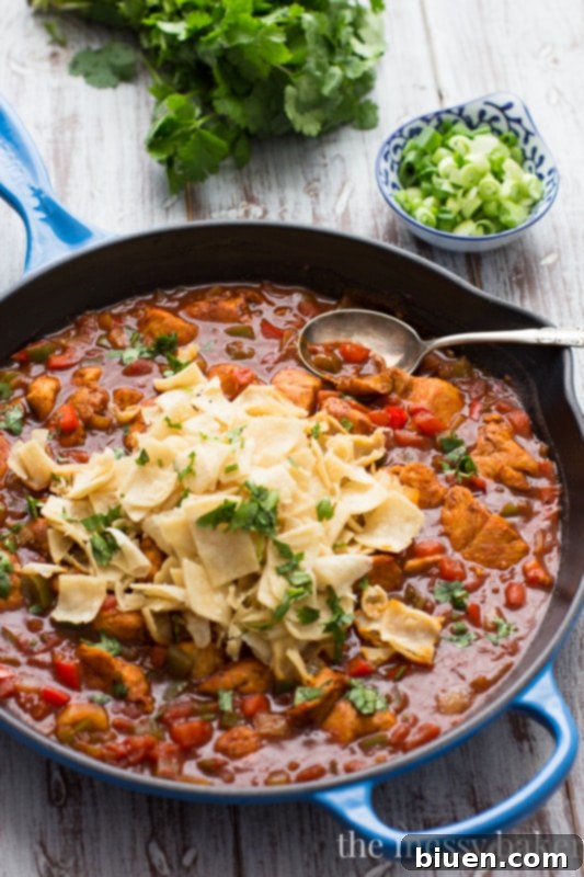 Overhead shot of the finished Chicken Enchilada Skillet, garnished with fresh green onions and cilantro, ready to serve.