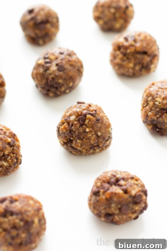 Gluten-Free & Vegan Chocolate Chip Energy Balls