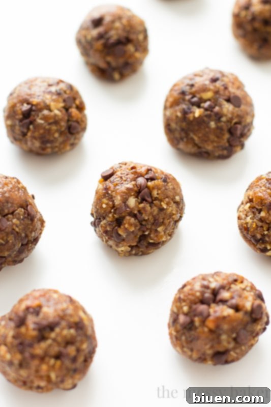 Gluten-Free Chocolate Chip Energy Balls
