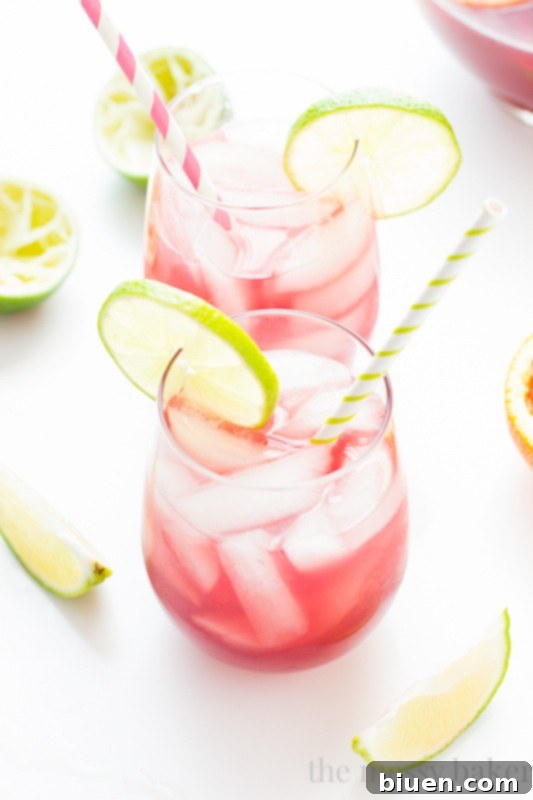 Sangrita {Sangria + Margarita} Cocktail