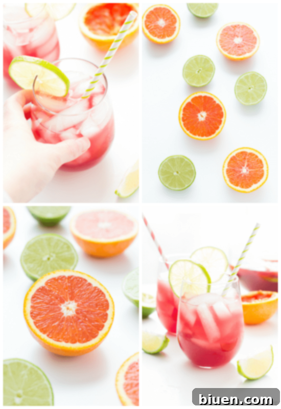 Sangrita {Sangria + Margarita} Cocktail