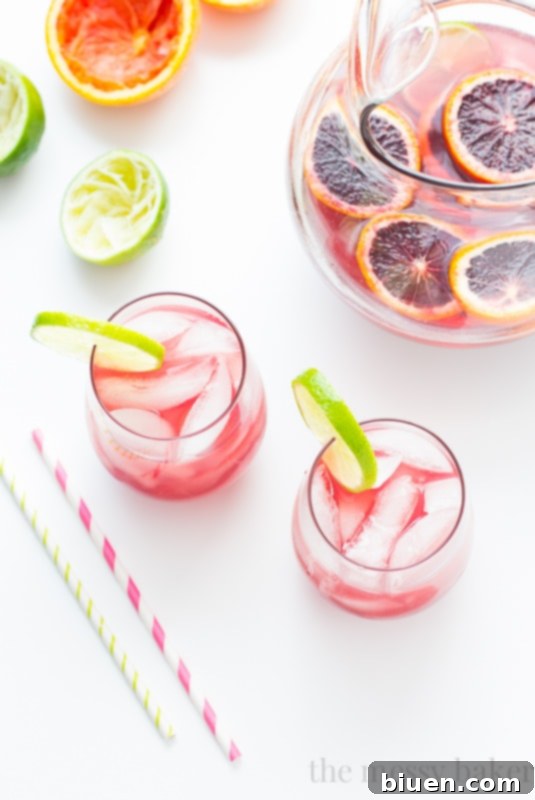 Sangrita {Sangria + Margarita} Cocktail