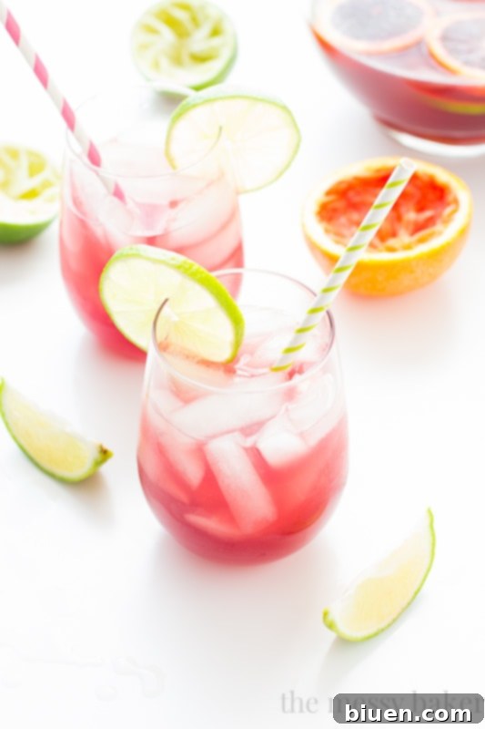 Sangrita {Sangria + Margarita} Cocktail