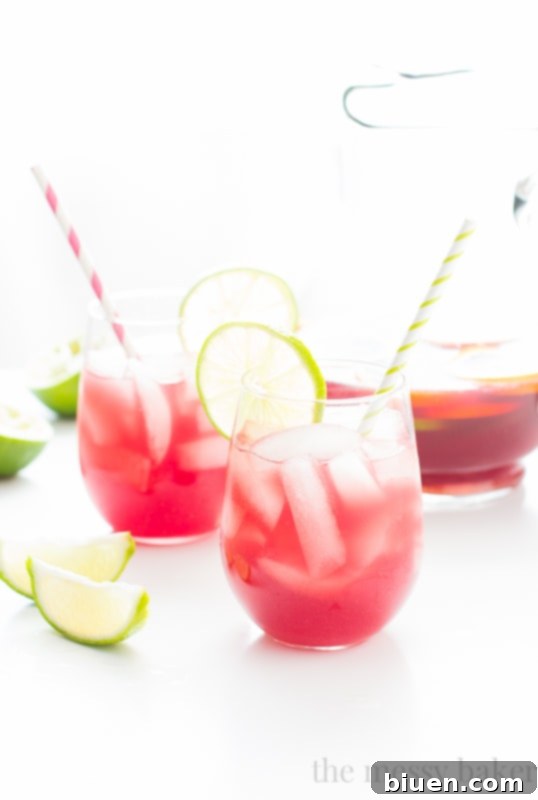 Sangrita {Sangria + Margarita} Cocktail