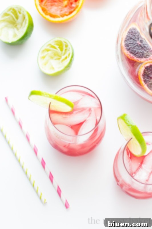 Sangrita {Sangria + Margarita} Cocktail