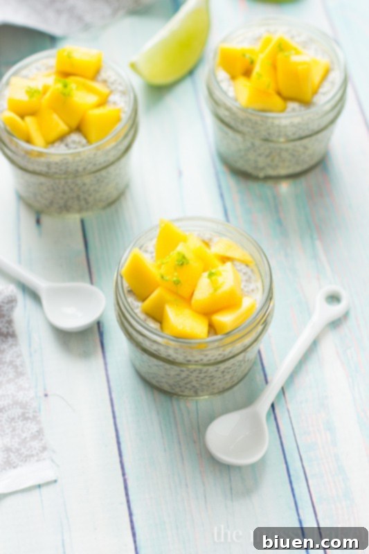 Sunshine Mango Chia Pudding Gluten Free 39 Delicious Mango Chia Seed Pudding topped with Honeyed Mangoes